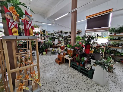 Floristeria Civiflor, Floristería en L'Espluga de Francolí