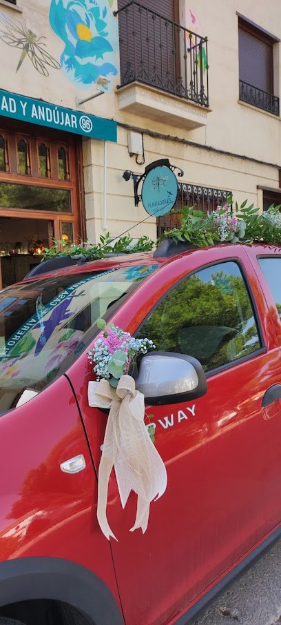 Florería Casa Abad y Andujar, Floristería en Tomelloso
