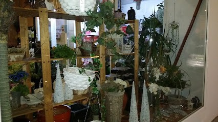 Floristería Bapalo Garden Montijo, Floristería en Montijo