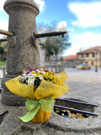Floraría González, Floristería en Lalín