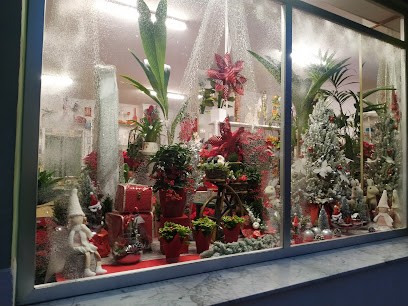 Floristeria Noelia, Floristería en Beniel