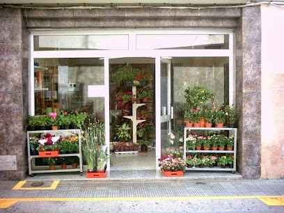 Floristería Greflor, Floristería en Montehermoso