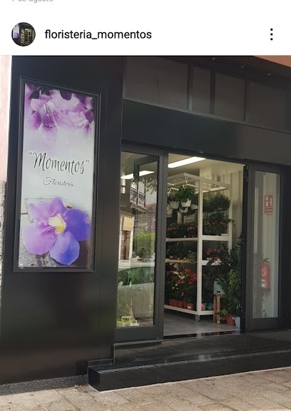 Floristería Momentos, Floristería en San Sebastián de La Gomera