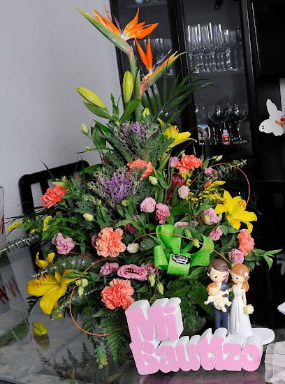 Monfort, Floristería en Almassora