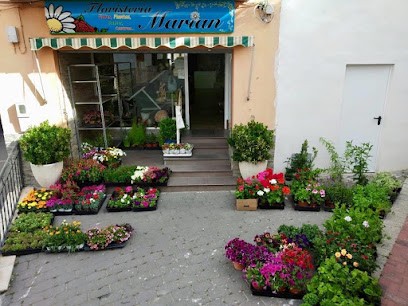 Floristería Marian, Floristería en Minglanilla