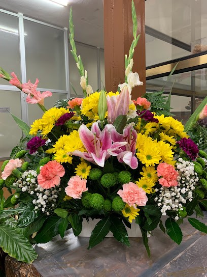 Floristería Plaza, Floristería en Villa del Prado