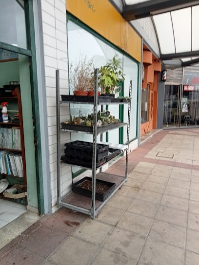 Floristeria El Jardin, Floristería en Torrelavega