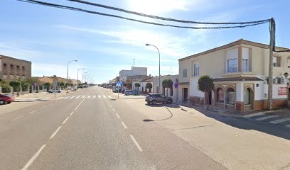 Mapiti Sl, Floristería en Talavera la Real