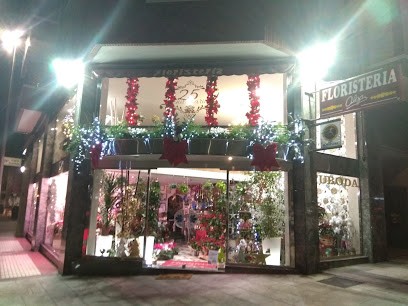 Floristería Olga, Floristería en Camargo