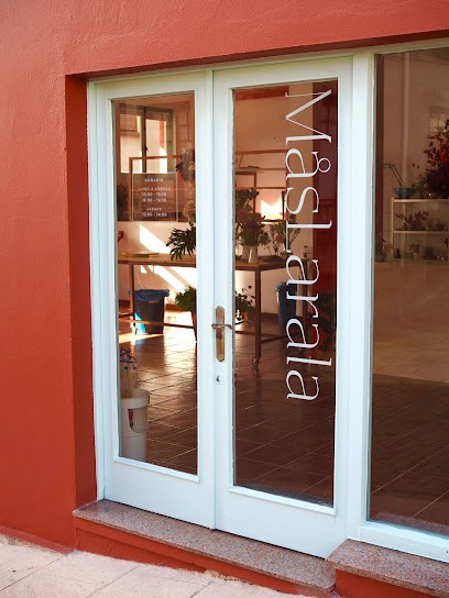 MåsLarala, Floristería en Navia