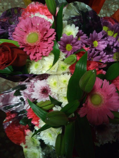 Floristería Carmen María, Floristería en Hornachuelos