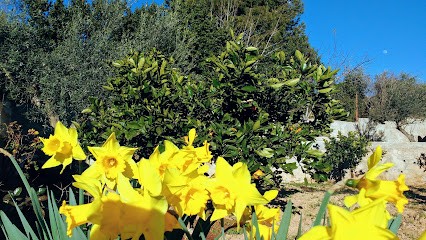 Jardinería Santi, Floristería en Calafell