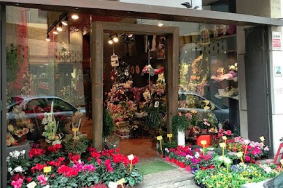 Rapiplant Floristes, Floristería en Balaguer