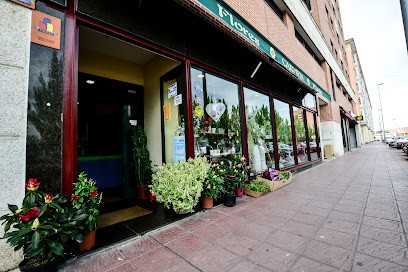 Floristería y Plantas Carmen, Floristería en Laguna de Duero