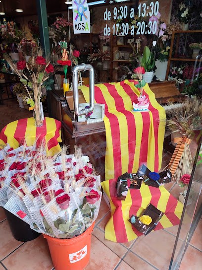 Carme Flors, Floristería en Alcarràs