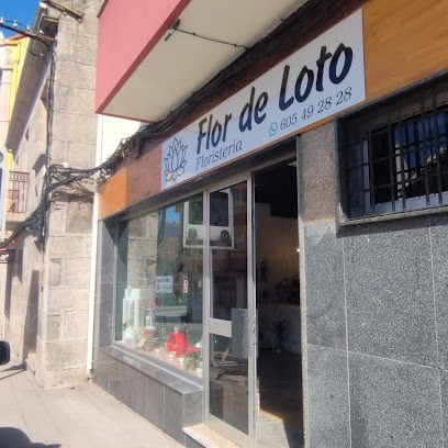 Floristería Flor de Loto, Floristería en Meira