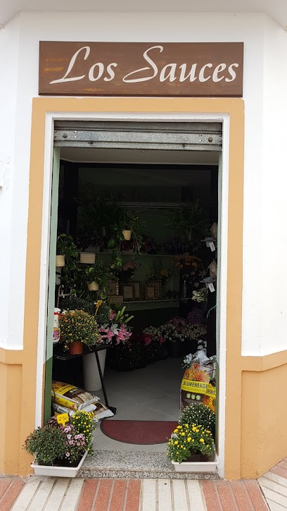 Floristería Los Sauces, Floristería en Santa Amalia