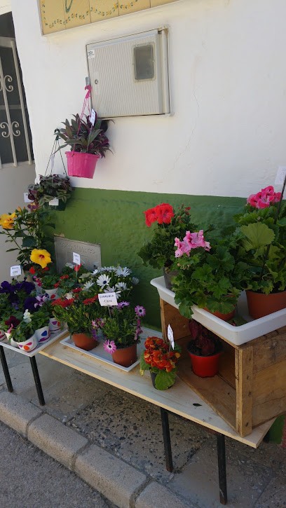 Vizcaíno Floristería, Floristería en Peñas de San Pedro