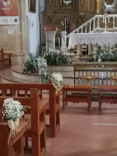 Floristería Marse, Floristería en Tomelloso