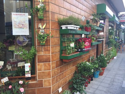 Floristería Katy, Floristería en Cedeira