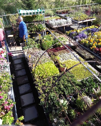 Floristeria de Cercs, Floristería en Cercs