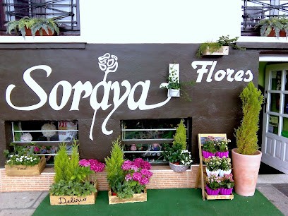 Floristería Soraya, Floristería en Veguellina de Órbigo