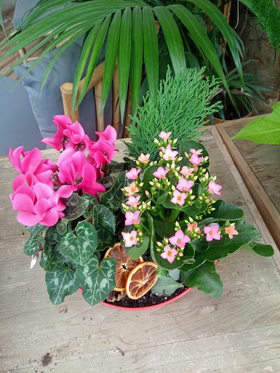 Flors i Plantes Pepi, Floristería en Teià