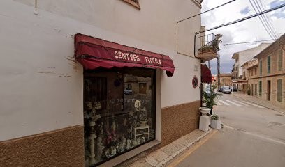Floristería Arboles Frutales Plantas, Floristería en Porreres