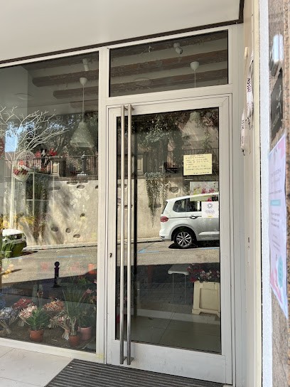 Montferran Flors I Plantes, Floristería en Vilassar de Dalt