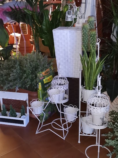 Irene González Díaz, Floristería en Fuente de Piedra