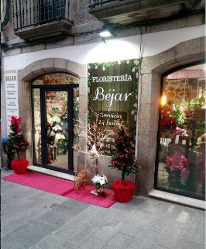 Floristería Béjar, Floristería en Béjar