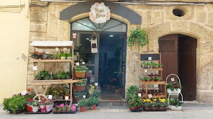 Pupi Flors, Floristería en Torredembarra