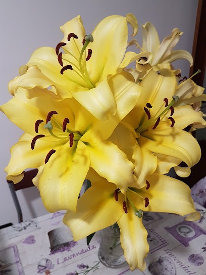 Floristería Tin, Floristería en Güímar