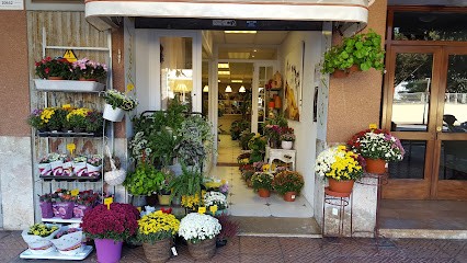 Es Girasol Floristería, Floristería en Maó