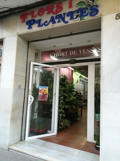 Floristería L' Hort de Vesses, Floristería en Cullera