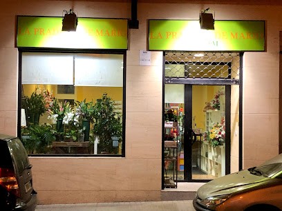 Floristería la Pradera de Mario, Floristería en San Agustín del Guadalix