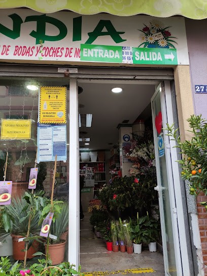 Florilandia, Floristería en Melilla