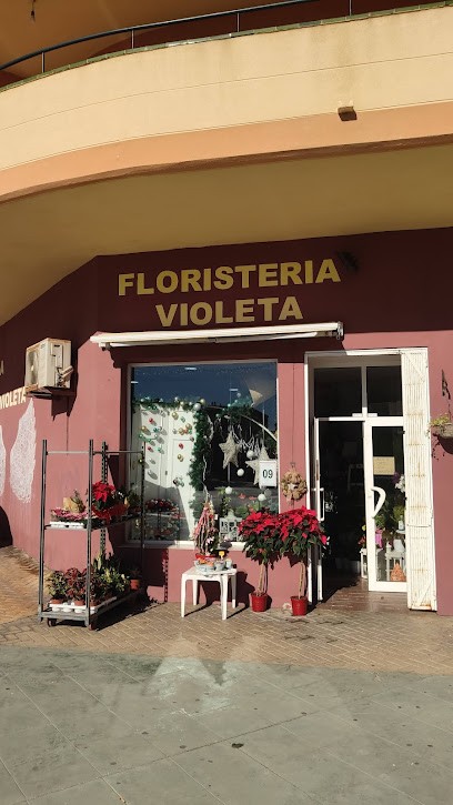 FLORISTERIA VIOLETA, Floristería en Casares