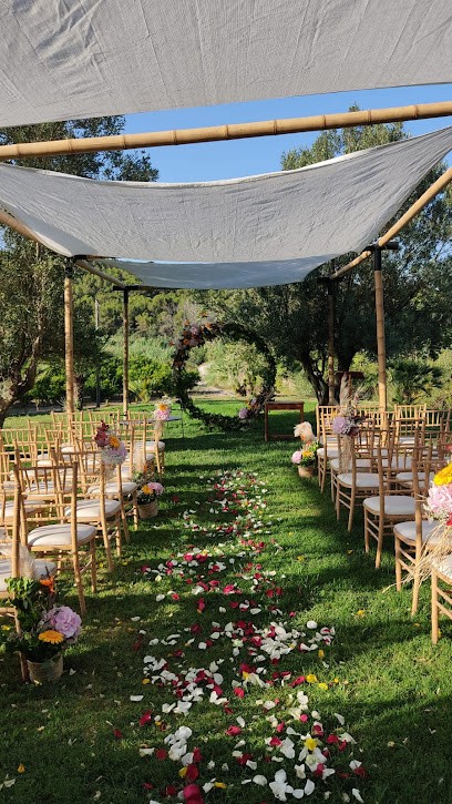 Pilar i Mónica, floristes, Floristería en Picassent