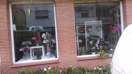 Floristería Edén, Floristería en Barriada Primero de Mayo