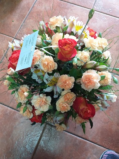 Floristería Eggar, Floristería en Tías