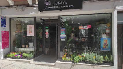 Soraya. Floristería Y Loterías, Floristería en Jaraíz de la Vera
