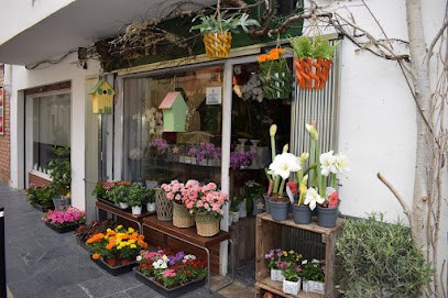 El Pi Taller de Flores, Floristería en Gelida