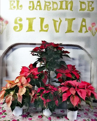 Floristería Agrocan - El jardín de Silvia, Floristería en Navalcán