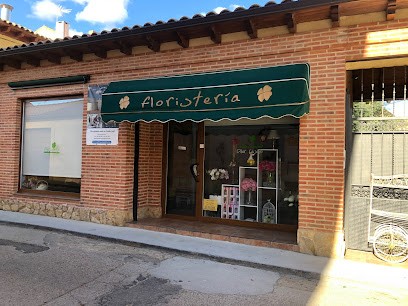 Floristería Pili Casado, Floristería en Villalpando