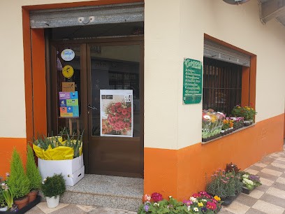 Floristeria Jardin Villamalea, Floristería en Villamalea