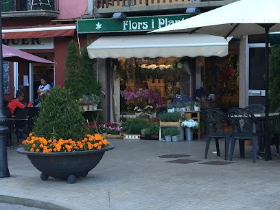Floristeria Joan, Floristería en Puigcerdà