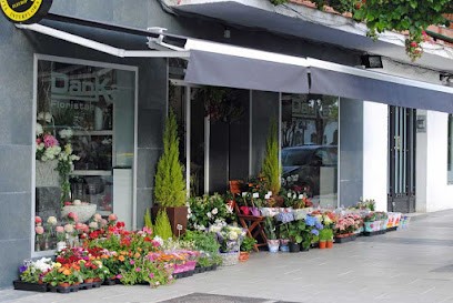 Danka Floristas, Floristería en Villanueva de la Cañada