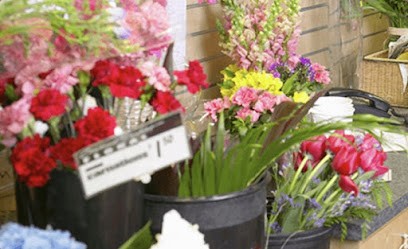 Floristería Lylium, Floristería en Hospitalet de L'Infant (L')