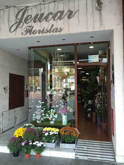 Floristería Jeucar, Floristería en Medina del Campo